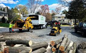 Reliable Tresckow, PA Tree Removal and Landscaping Services Solutions